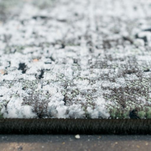 Canyon Sonian Rug | Greys & Citrus mix