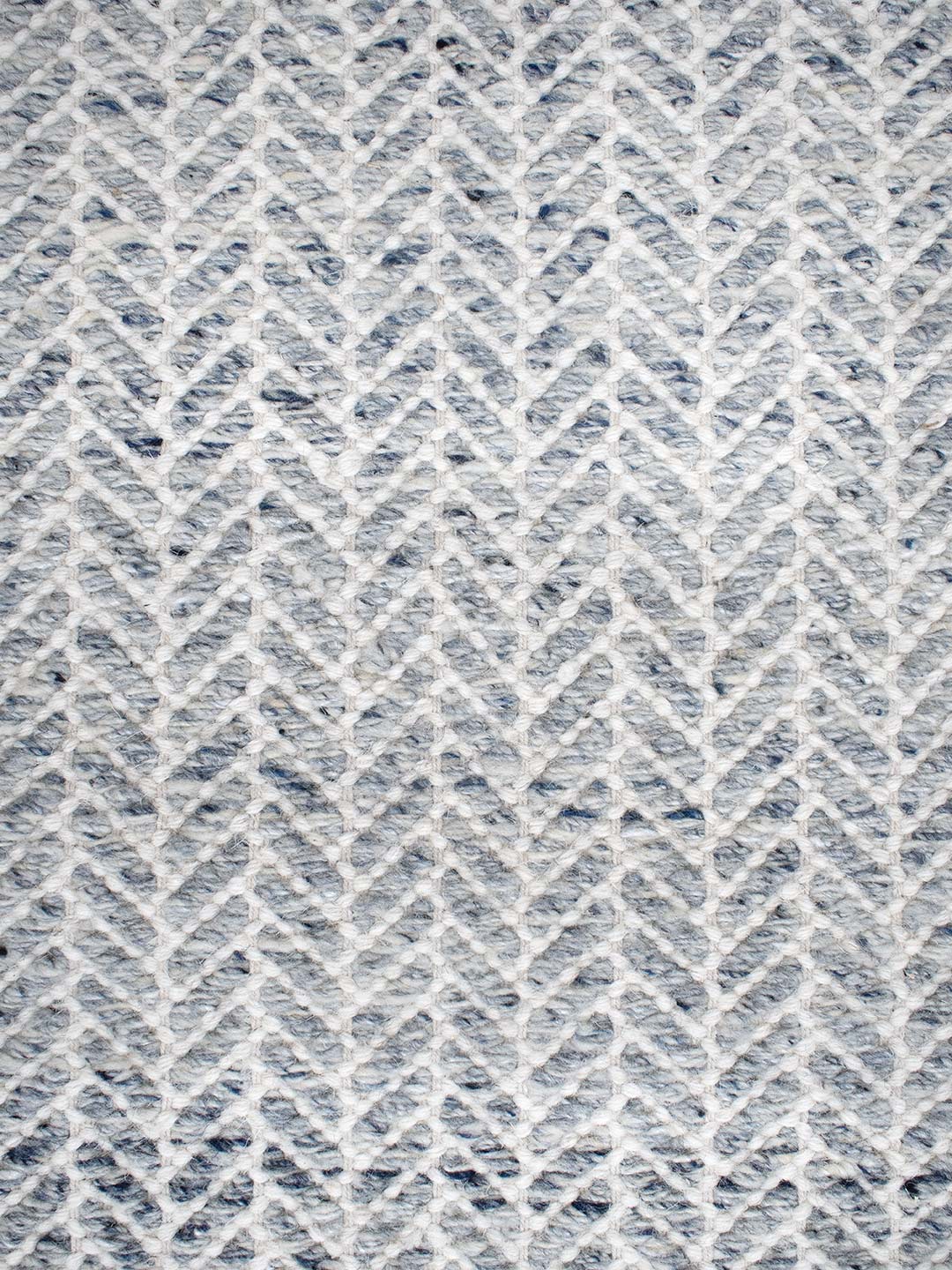 Echo Rug | Chambray
