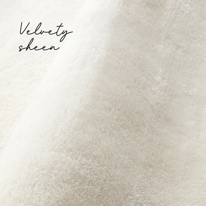 close up velvet sheer soft pile rug